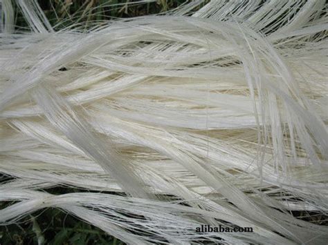 Sisal Natural Fiber