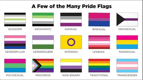 A few of the many Pride Flags, including Agender, Aromantic, Asexual ...