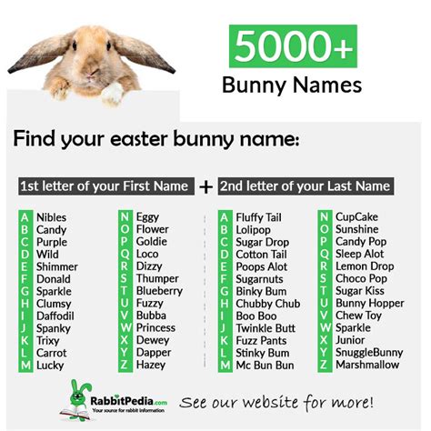 5000+ Most Popular Bunny Names (Top 250 Boy & Girl) - RabbitPedia.com