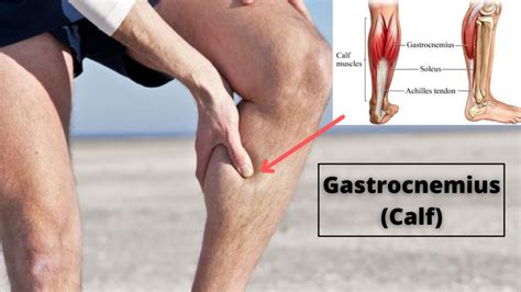 Gastrocnemius (Calf) Stretching Exercise - Orthopaedic Spine Surgery ...