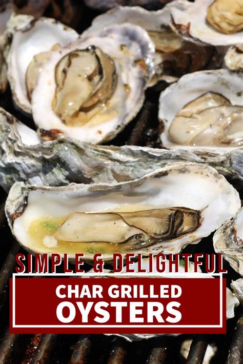 Chargrilled oysters recipe – Artofit