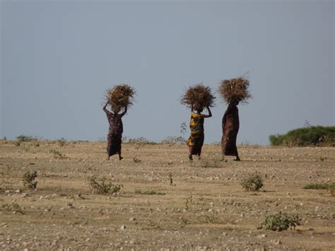 A roadmap to reduce drought risk in Ethiopia - Wetlands International