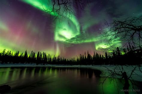 Auroras Rock the Earth in Spring of 2015, Photos, Stories