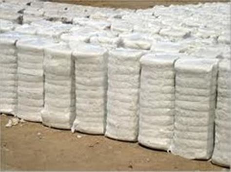 Raw Cotton Bales buy in Surat