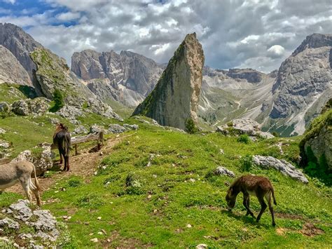 TWO GREAT HIKES IN VAL GARDENA IN THE ITALIAN DOLOMITES - You Should Go ...