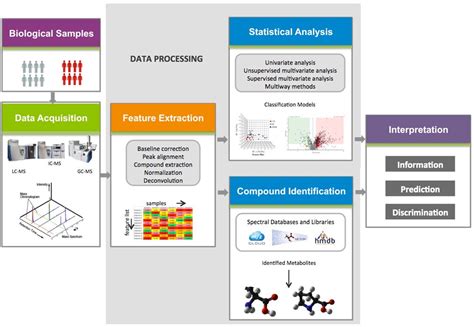 Metabolomics Data Analysis | Thermo Fisher Scientific - UK