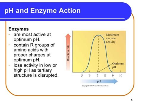 CHM 105-16_8 Factors Affecting Enzyme Activity