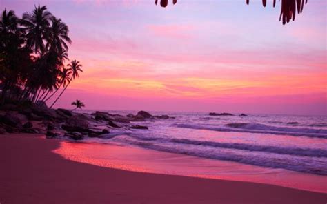 Travel Guide to Butterfly Beach Goa | WhatsHot Pune