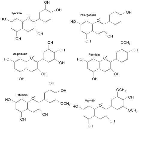 Anthocyanins