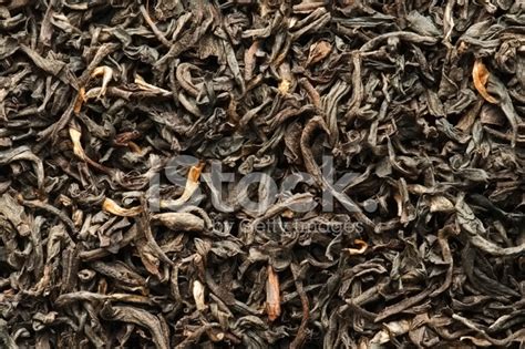 Assam Tea Leaves Background from Overhead Stock Photos - FreeImages.com