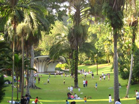 File:Singapore Botanic Gardens Palm Valley.jpg - Wikimedia Commons