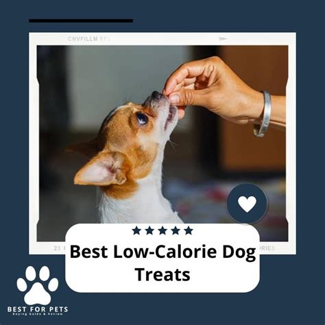 The 7 Best Low-Calorie Dog Treats in 2024 - BestForPets.org