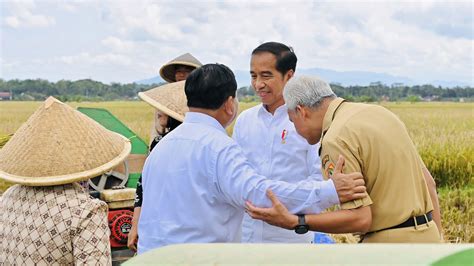 Makcomblang di Pematang Sawah - Laporan Utama - majalah.tempo.co