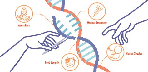 Restriction Enzymes - The Definitive Guide | Biology Dictionary