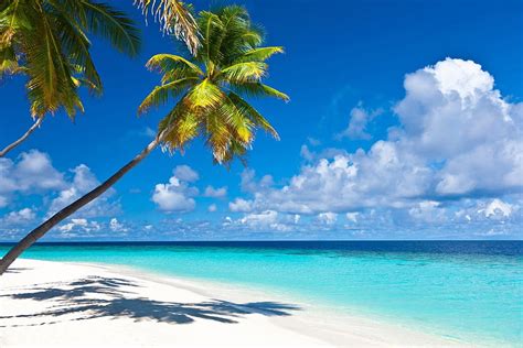 Caribbean Beaches . Caribbean Beach, Caribbean Computer HD wallpaper ...