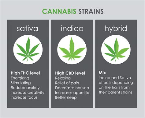 The Different Types of Weed Strains Explained - EmilyancePennington