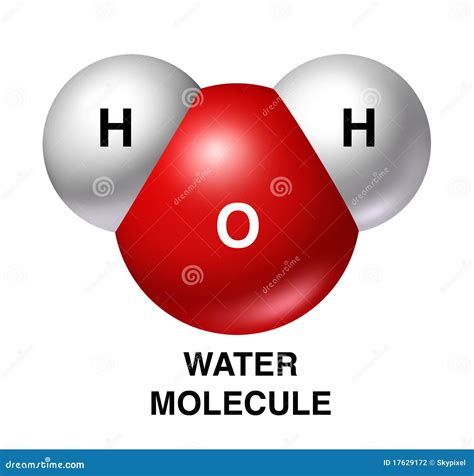 Water Molecule Royalty-Free Cartoon | CartoonDealer.com #59567507