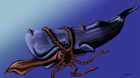 169 - Sperm Whale and Giant Squid by Shasel on DeviantArt