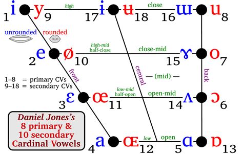 Ipa Vowels Diagram Mouth - IMAGESEE