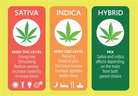 Indica vs. Sativa vs. Hybrid - Difference, Effects, Use