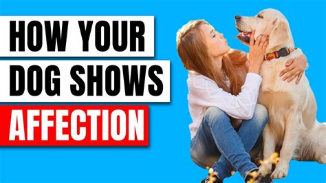 18 Surprising Ways Your Dog Says "I Love You" - YouTube