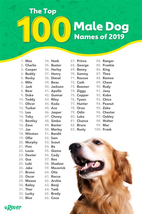 Pin by Amy Rose on Animals | Dog names male, Dog names unique, Dog names