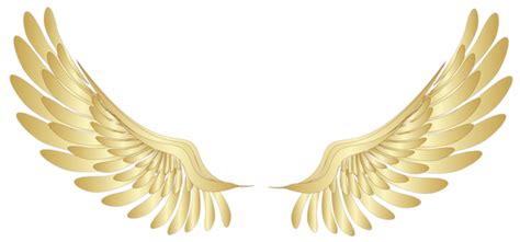 Wings PNG transparent image download, size: 600x281px