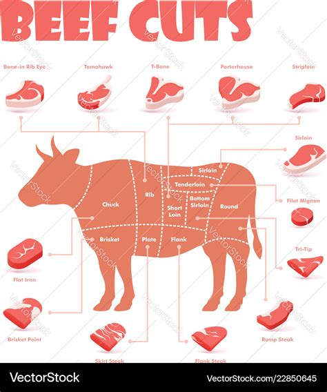 Prime Cuts Of Beef Chart