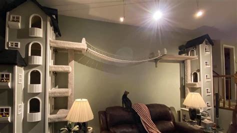 Man built swanky, custom apartment towers for his cats | Cat house, Cat ...