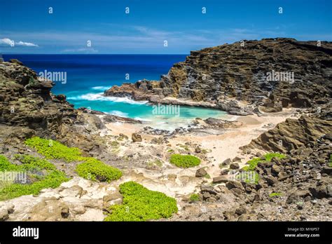 Cockroach Cove in Oahu, Hawaii Stock Photo - Alamy