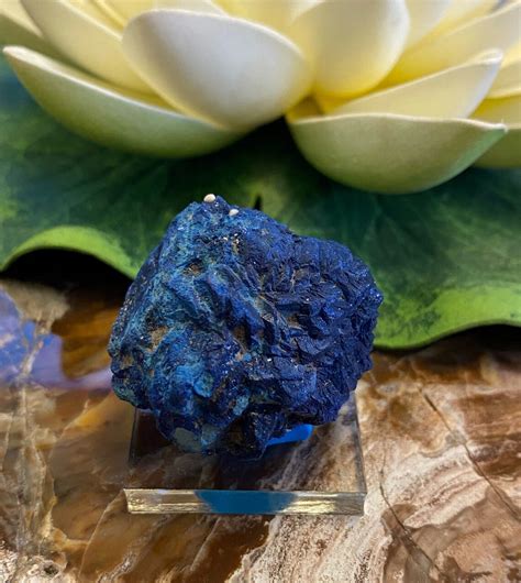 Azurite Nodule Concepción Del Oro Mine AZ6 - Etsy