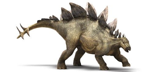 Jurassic World: Stegosaurus Facts and Illustration