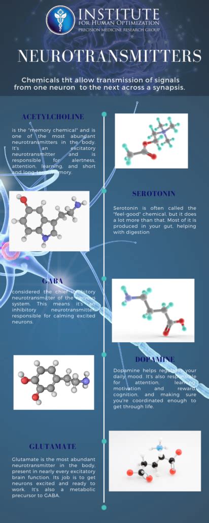 Neurotransmitters: The Chemicals That Run Your Brain - The Institute ...