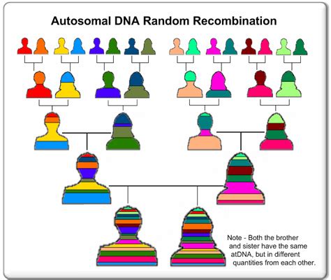 DNA FAQs