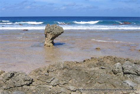 Phoenix Islands Protected Area | Natural World Heritage Sites