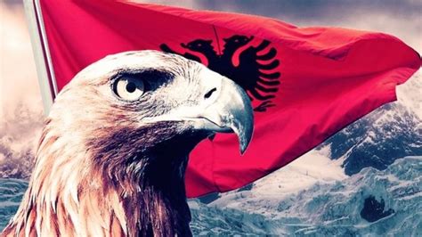 The Albanian Eagle - The Legend "The Son of the Eagle" • IIA