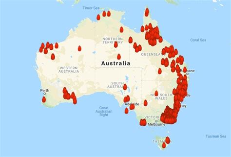 Yowies - Displaced by Australian Wildfires? : bigfoot