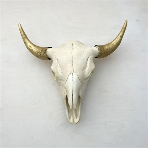 Bison Skull: Natural and Gold