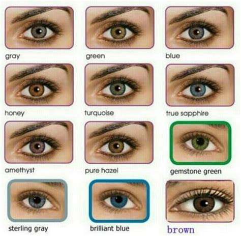 All About The Human Eye Color Chart