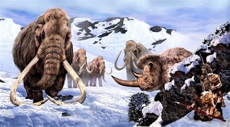 Mammoths,humans and woolly rino"s co-existed during the ice-age ...