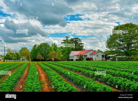 Farm landscape hi-res stock photography and images - Alamy