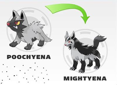 Rede Pokemon: evolution do poochyena