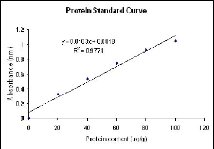 - Protein Standard Curve | Download Scientific Diagram