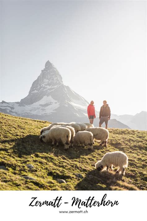 Zermatt – Matterhorn: In Zermatt every hiking day has the potential to ...