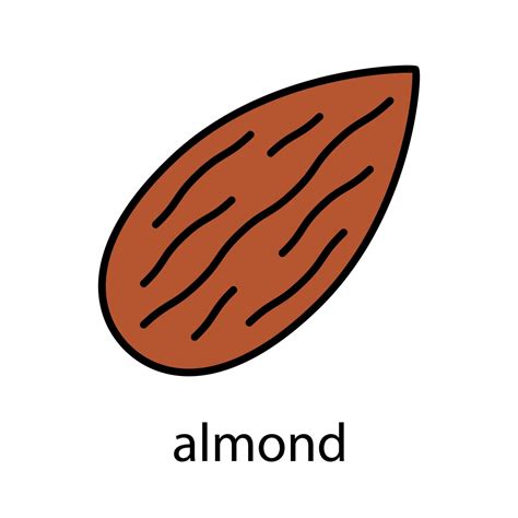 Almond color icon. Isolated vector illustration 3765231 Vector Art at ...