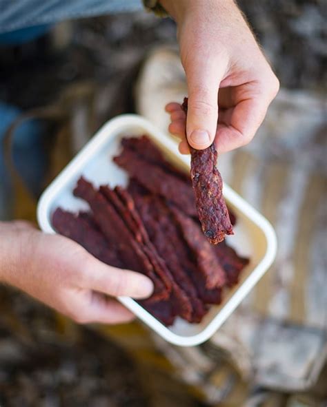 Venison Jerky Marinade From great sausage recipes and meat curing by