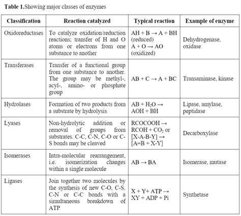 Enzyme: Definition, Properties, Classification and Nomenclature ...