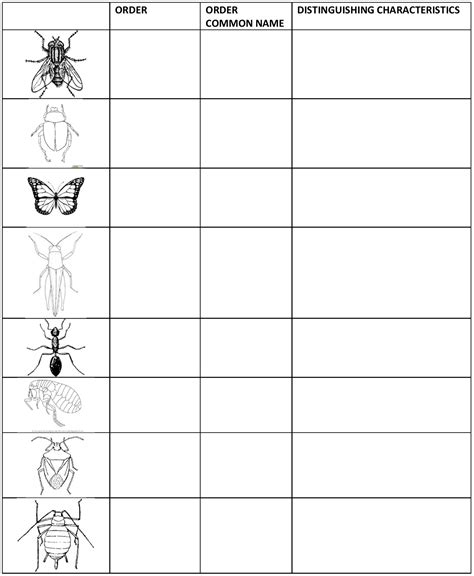 Lab 1 Assignment: Arthropod Classification – Entomology 311 Lab Manual