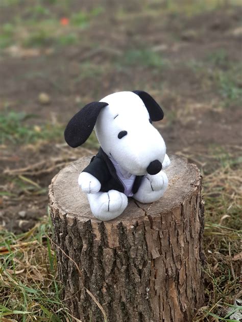 Stuffed Peanuts Snoopy Plush Toys 6 Dog Plush Toys - Etsy