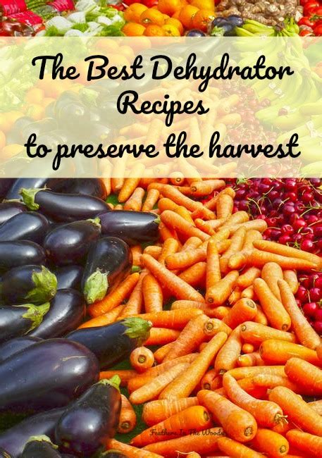 The best dehydrator recipes to preserve the harvest (and a fruit roll ...